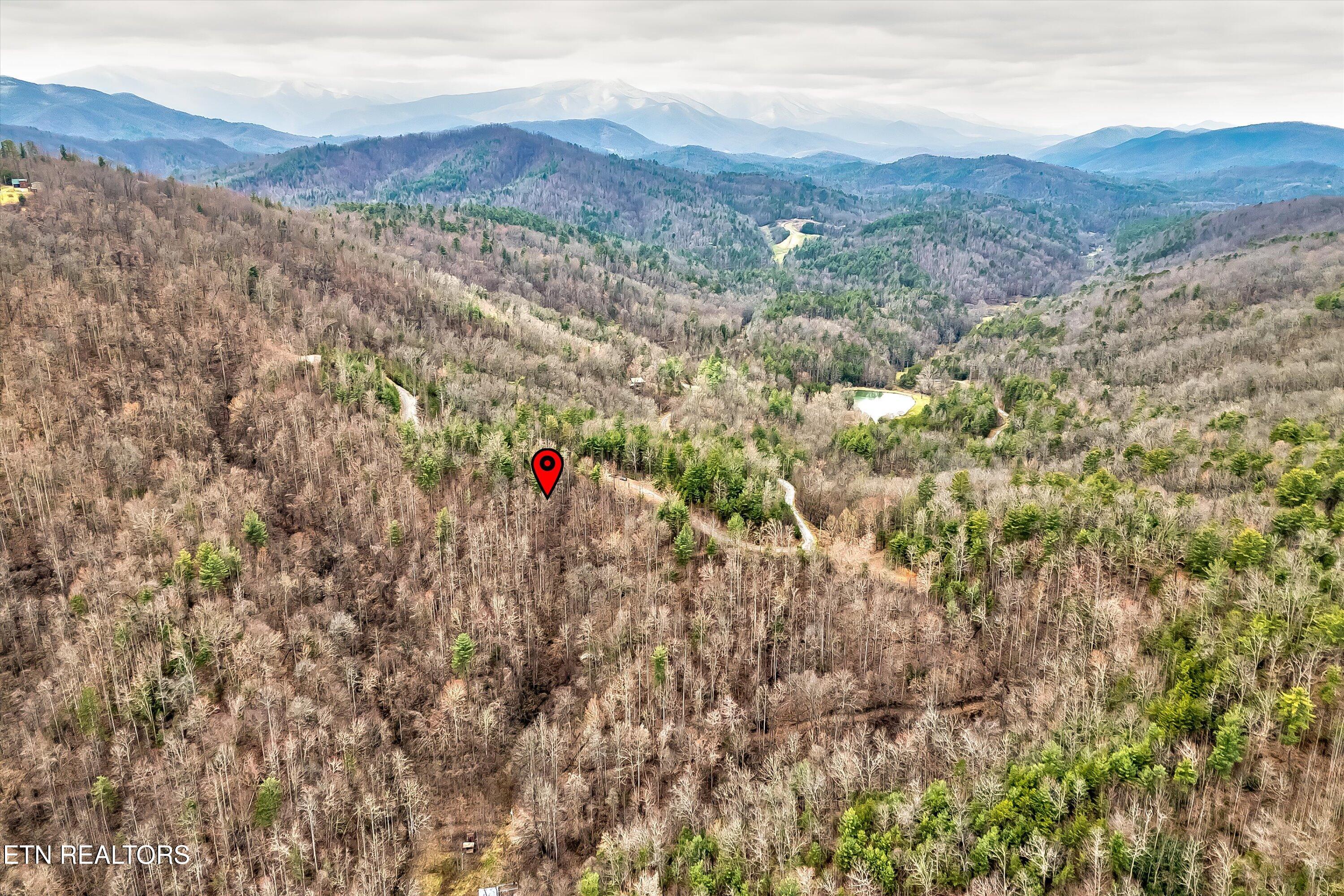 Lot 41 Black Maple Way Del Rio, TN 37727 - Photo 15 of 34 21-Black Maple Way Lot 41-21