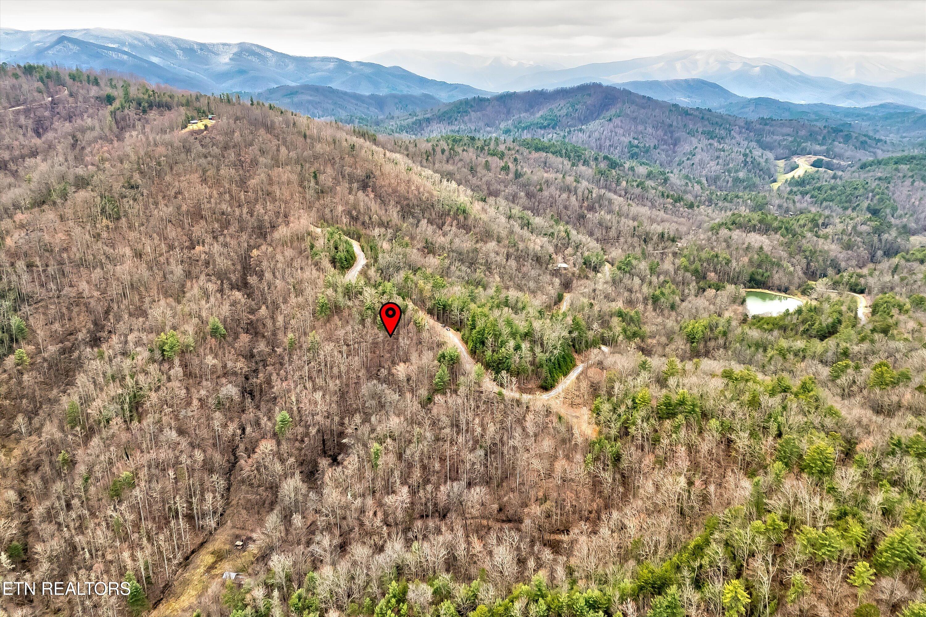 Lot 41 Black Maple Way Del Rio, TN 37727 - Photo 16 of 34 23-Black Maple Way Lot 41-23