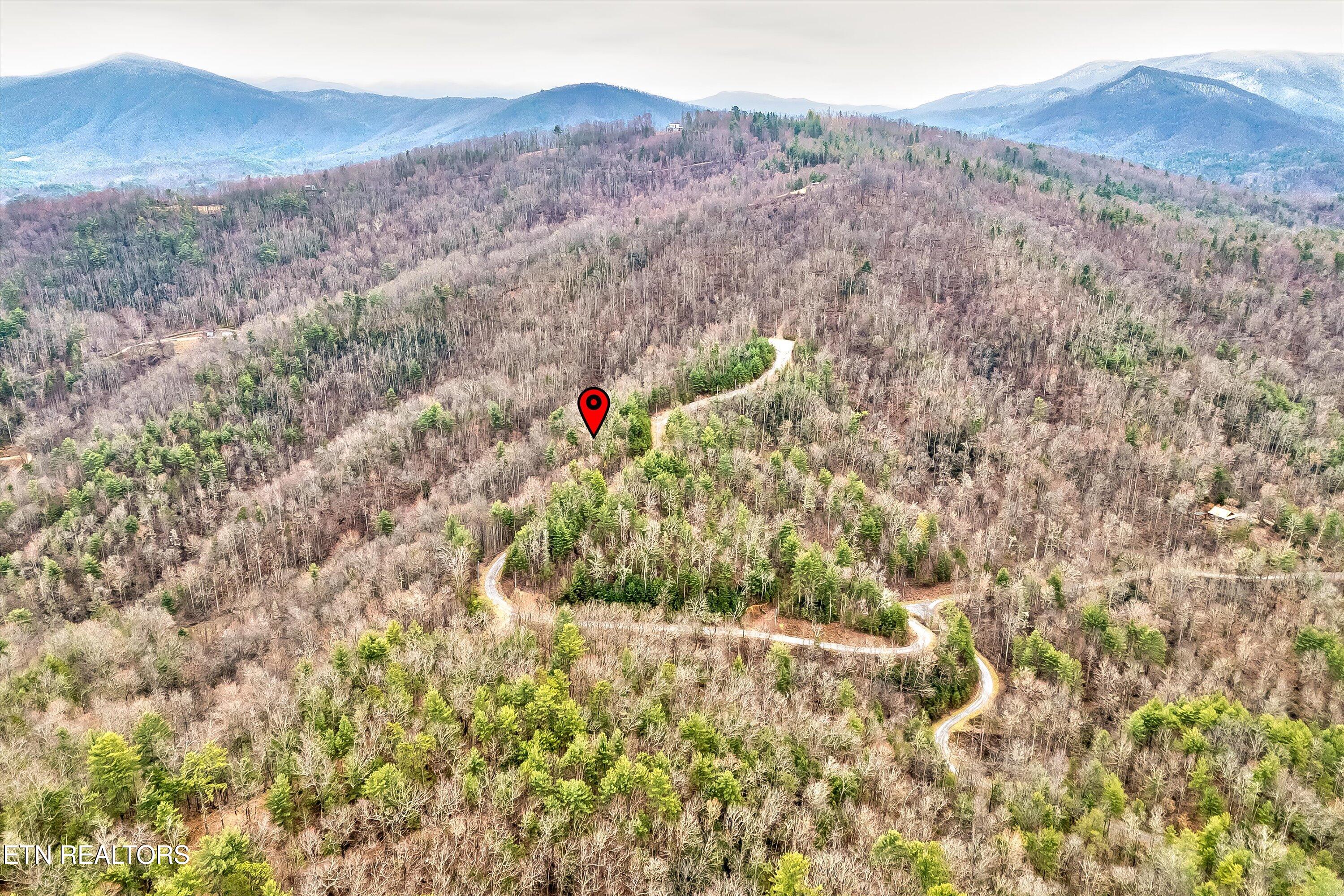 Lot 41 Black Maple Way Del Rio, TN 37727 - Photo 17 of 34 25-Black Maple Way Lot 41-25