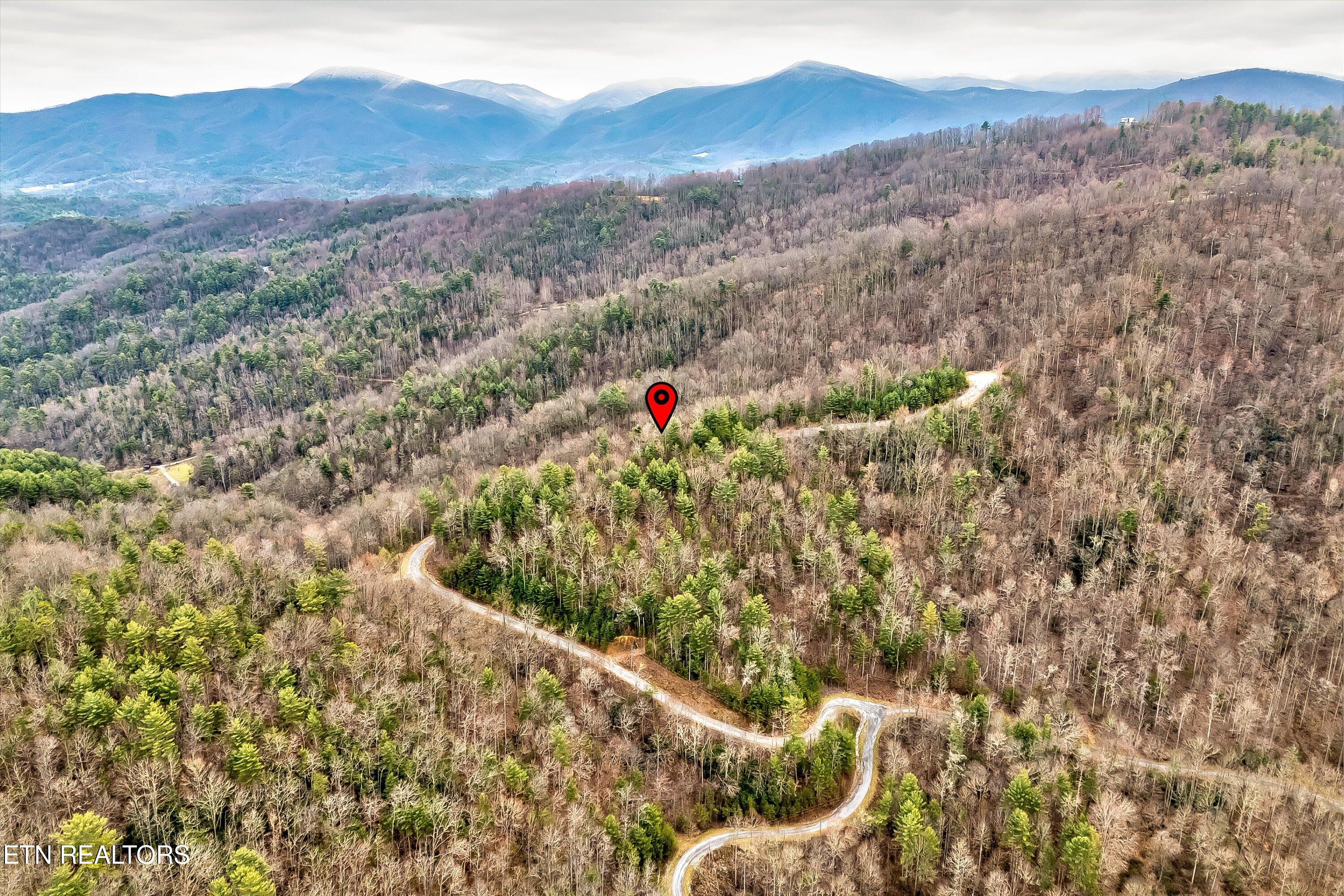 Lot 41 Black Maple Way Del Rio, TN 37727 - Photo 18 of 34 27-Black Maple Way Lot 41-27