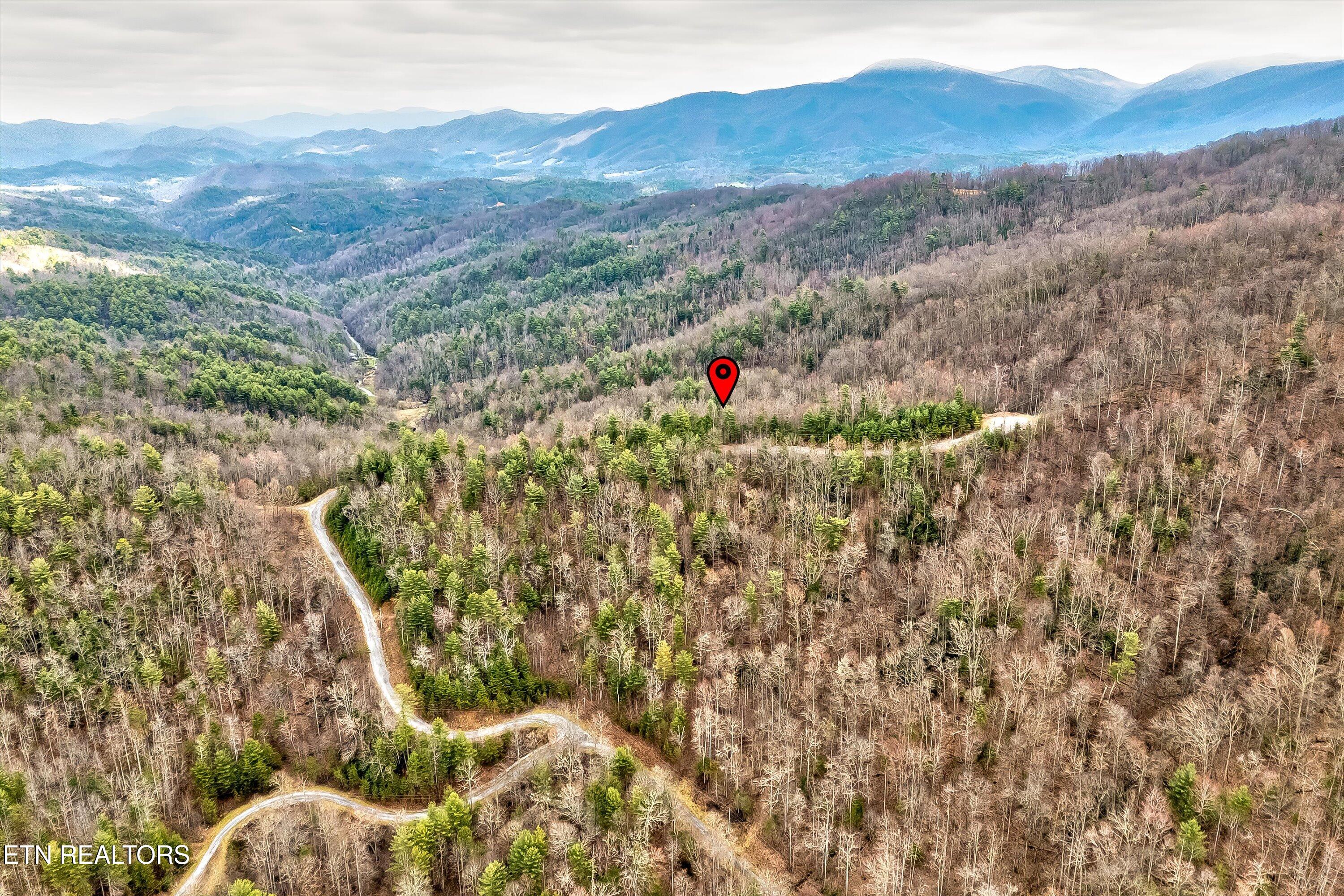 Lot 41 Black Maple Way Del Rio, TN 37727 - Photo 19 of 34 29-Black Maple Way Lot 41-29