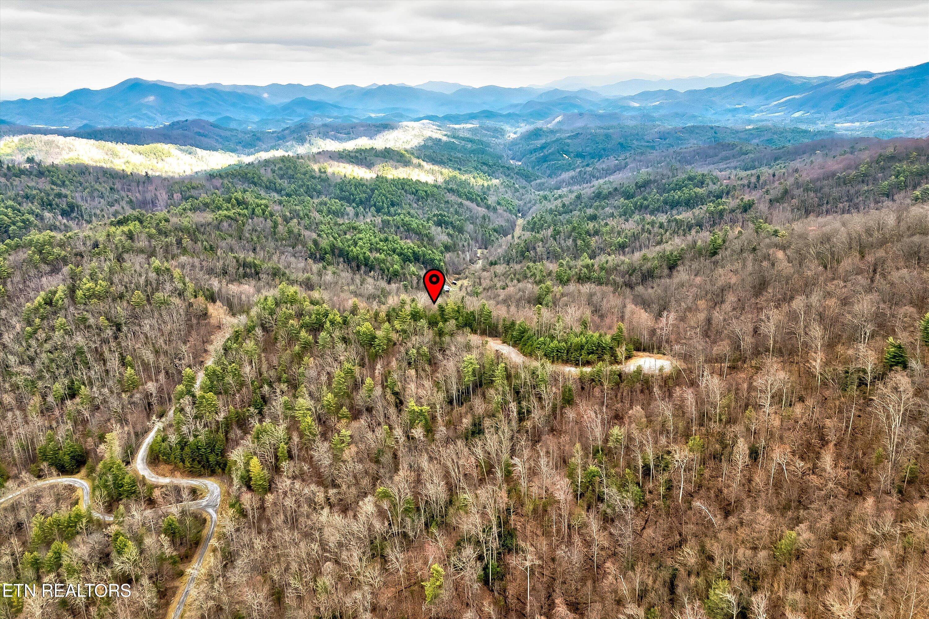 Lot 41 Black Maple Way Del Rio, TN 37727 - Photo 20 of 34 31-Black Maple Way Lot 41-31