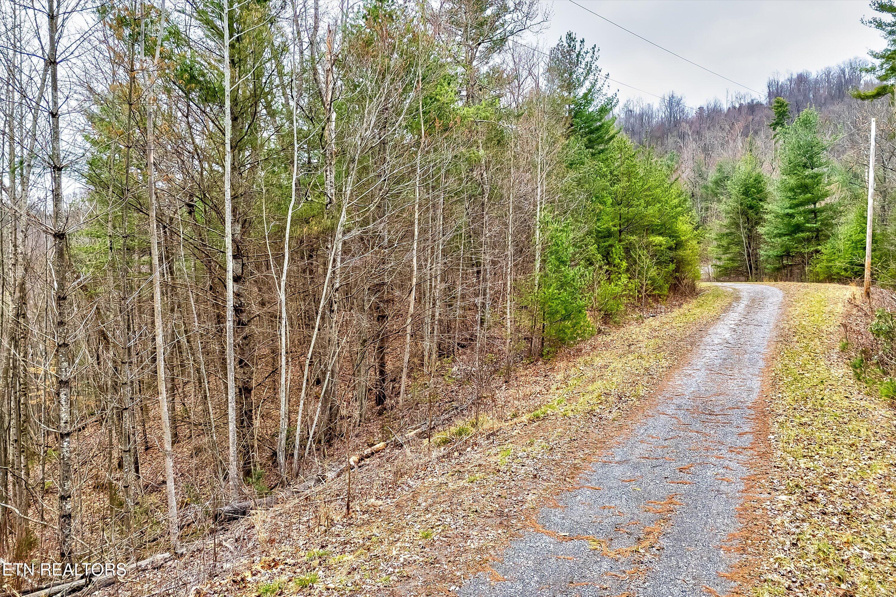 Lot 41 Black Maple Way Del Rio, TN 37727 - Photo 2 of 34 02-Black Maple Way Lot 41-2