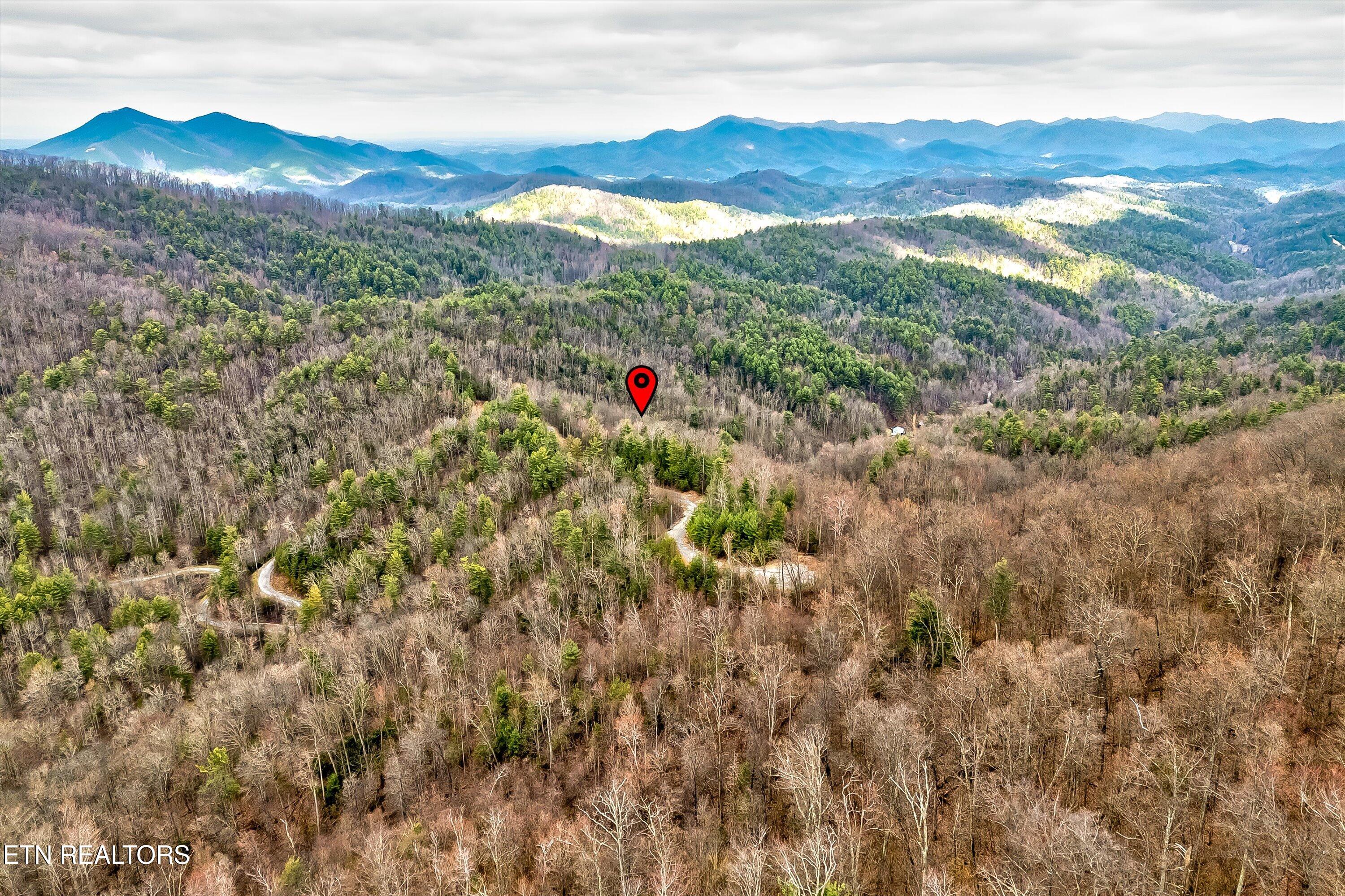 Lot 41 Black Maple Way Del Rio, TN 37727 - Photo 21 of 34 33-Black Maple Way Lot 41-33