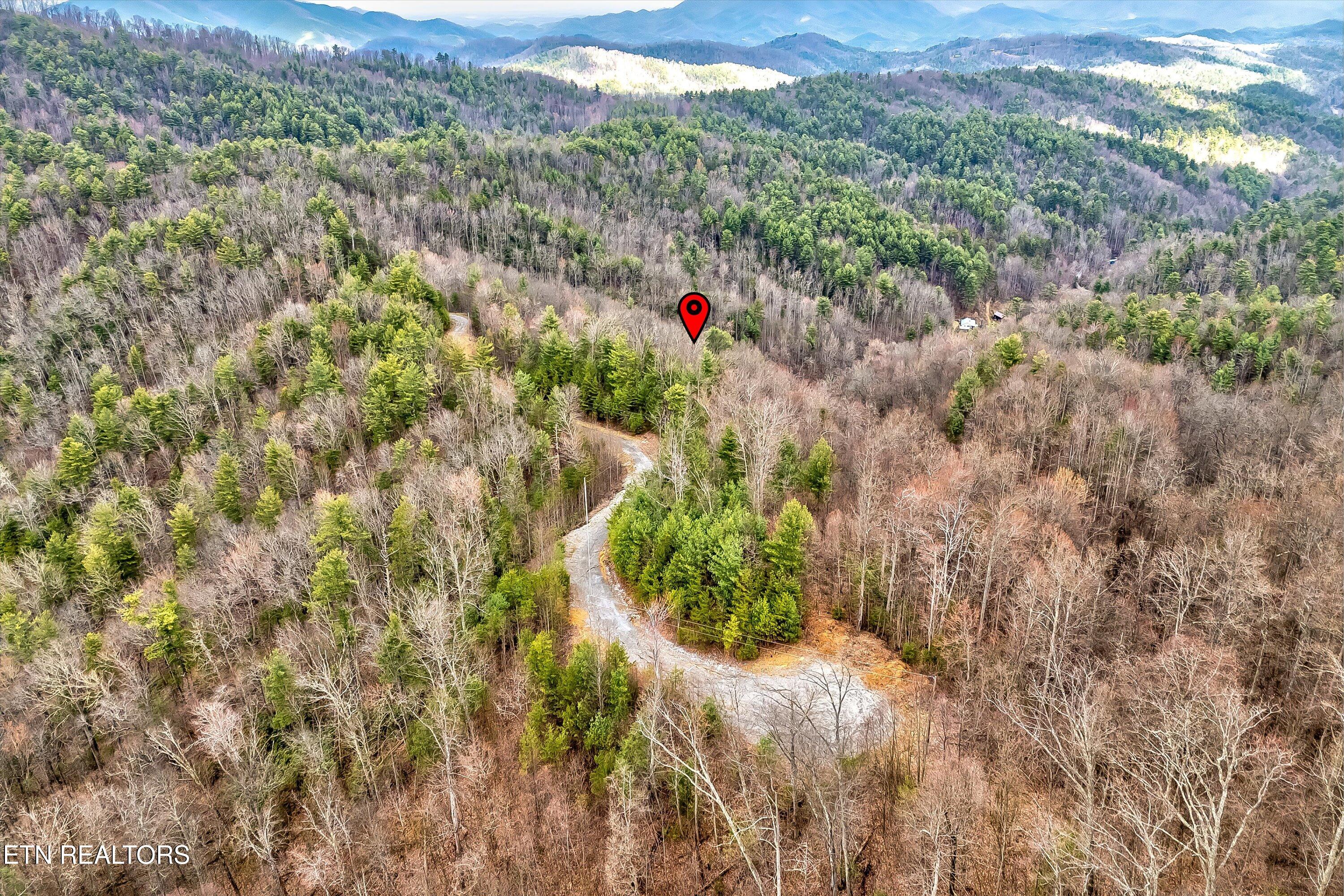 Lot 41 Black Maple Way Del Rio, TN 37727 - Photo 22 of 34 35-Black Maple Way Lot 41-35