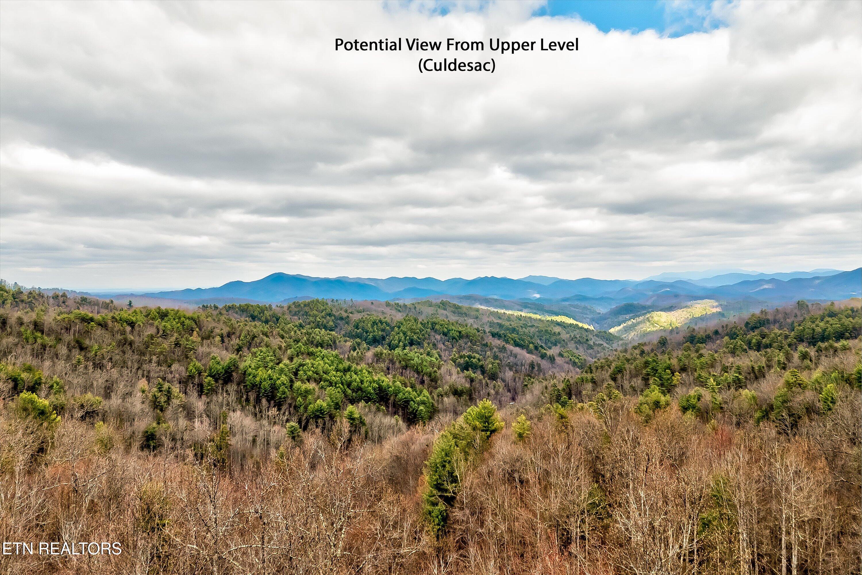 Lot 41 Black Maple Way Del Rio, TN 37727 - Photo 23 of 34 37-Black Maple Way Lot 41-37