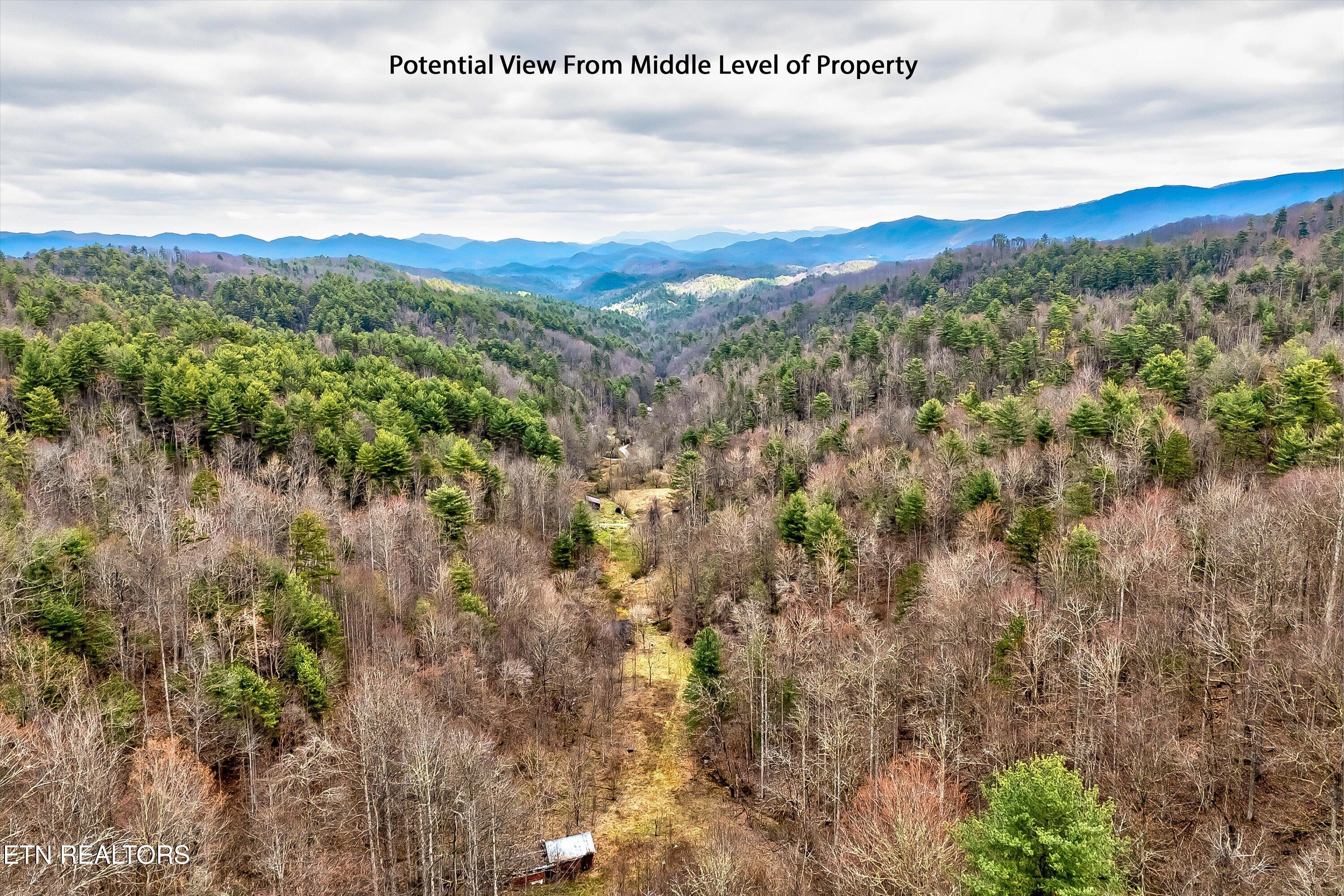 Lot 41 Black Maple Way Del Rio, TN 37727 - Photo 24 of 34 39-Black Maple Way Lot 41-39