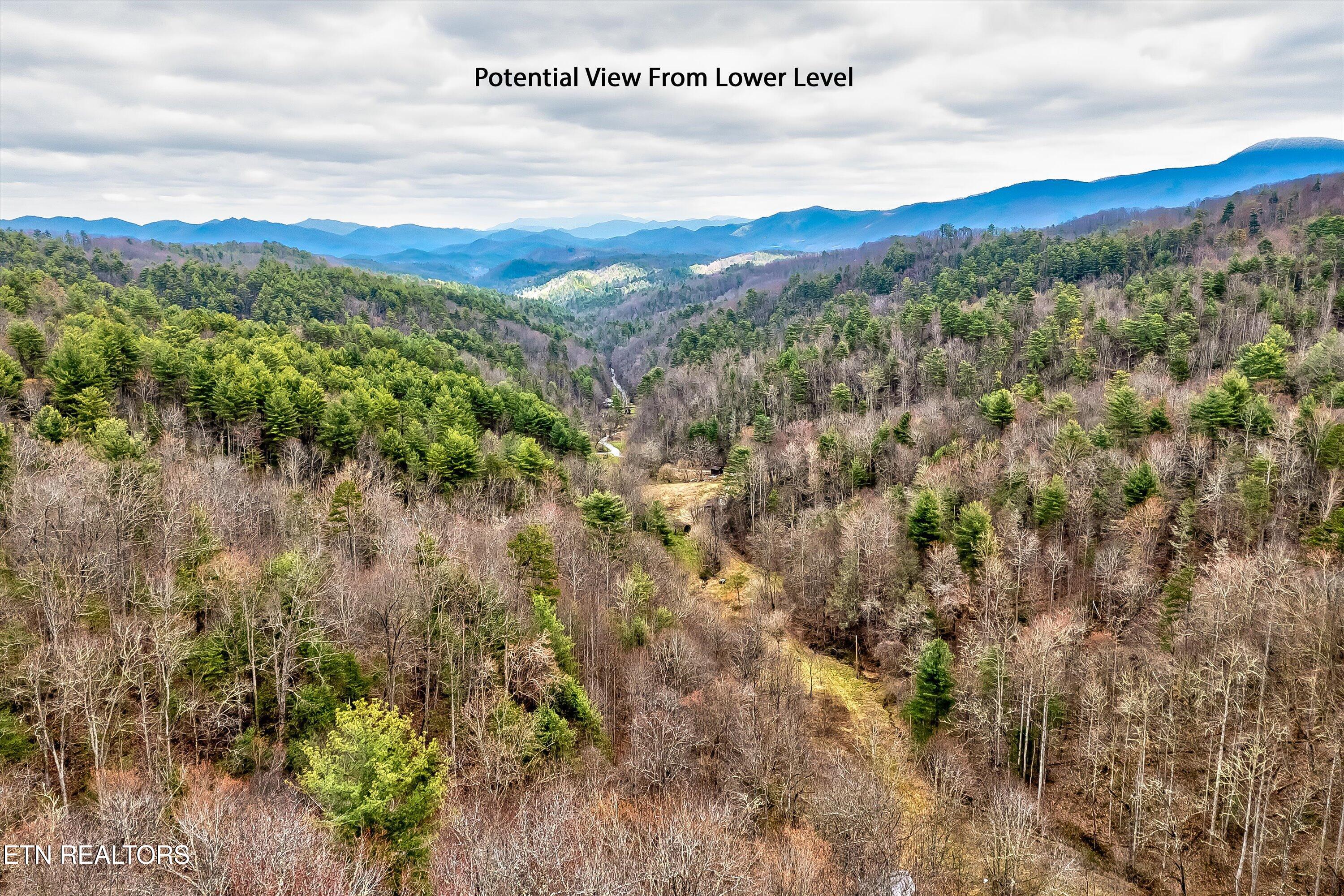 Lot 41 Black Maple Way Del Rio, TN 37727 - Photo 25 of 34 41-Black Maple Way Lot 41-41