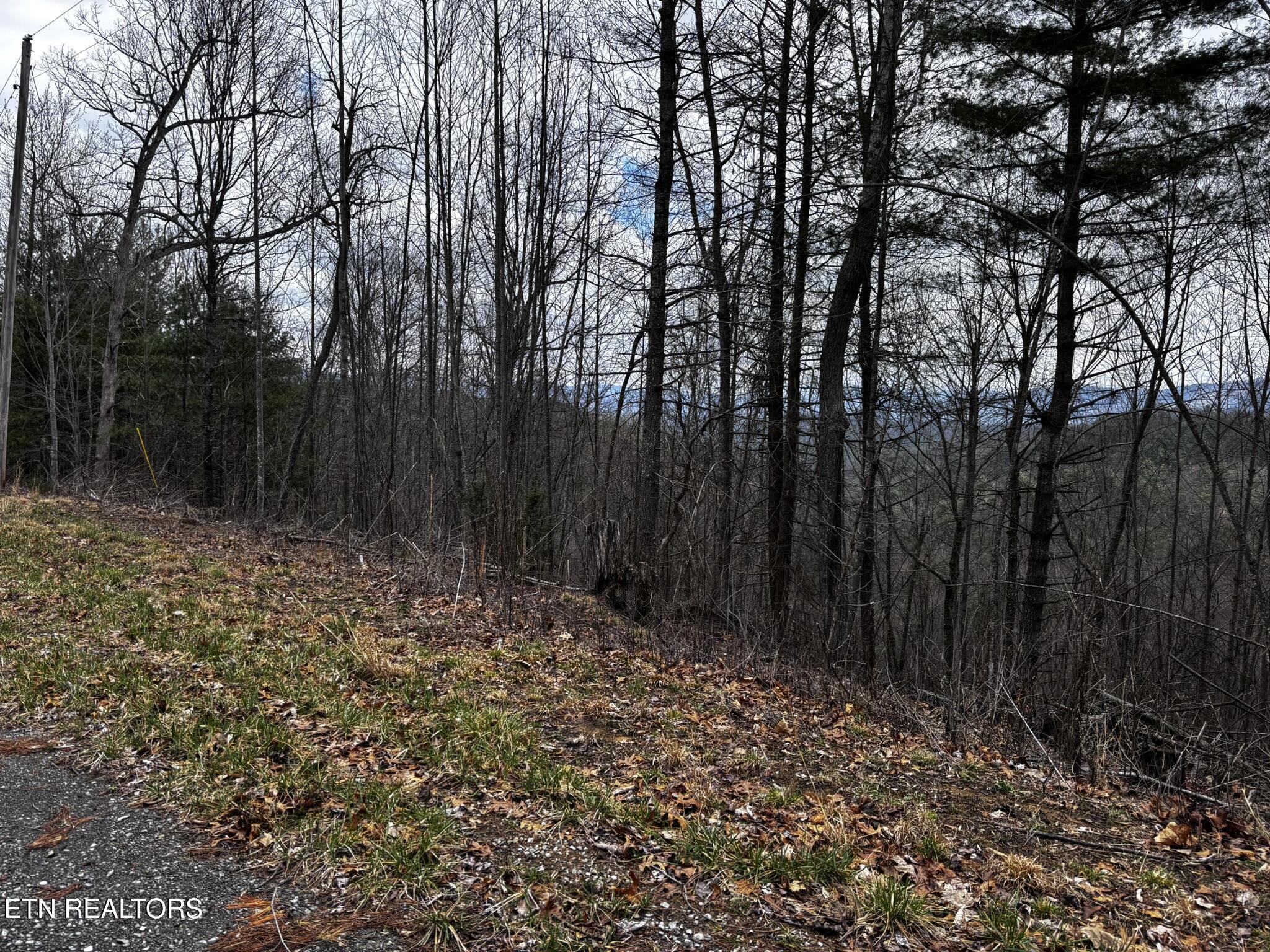 Lot 41 Black Maple Way Del Rio, TN 37727 - Photo 28 of 34 IMG_3007