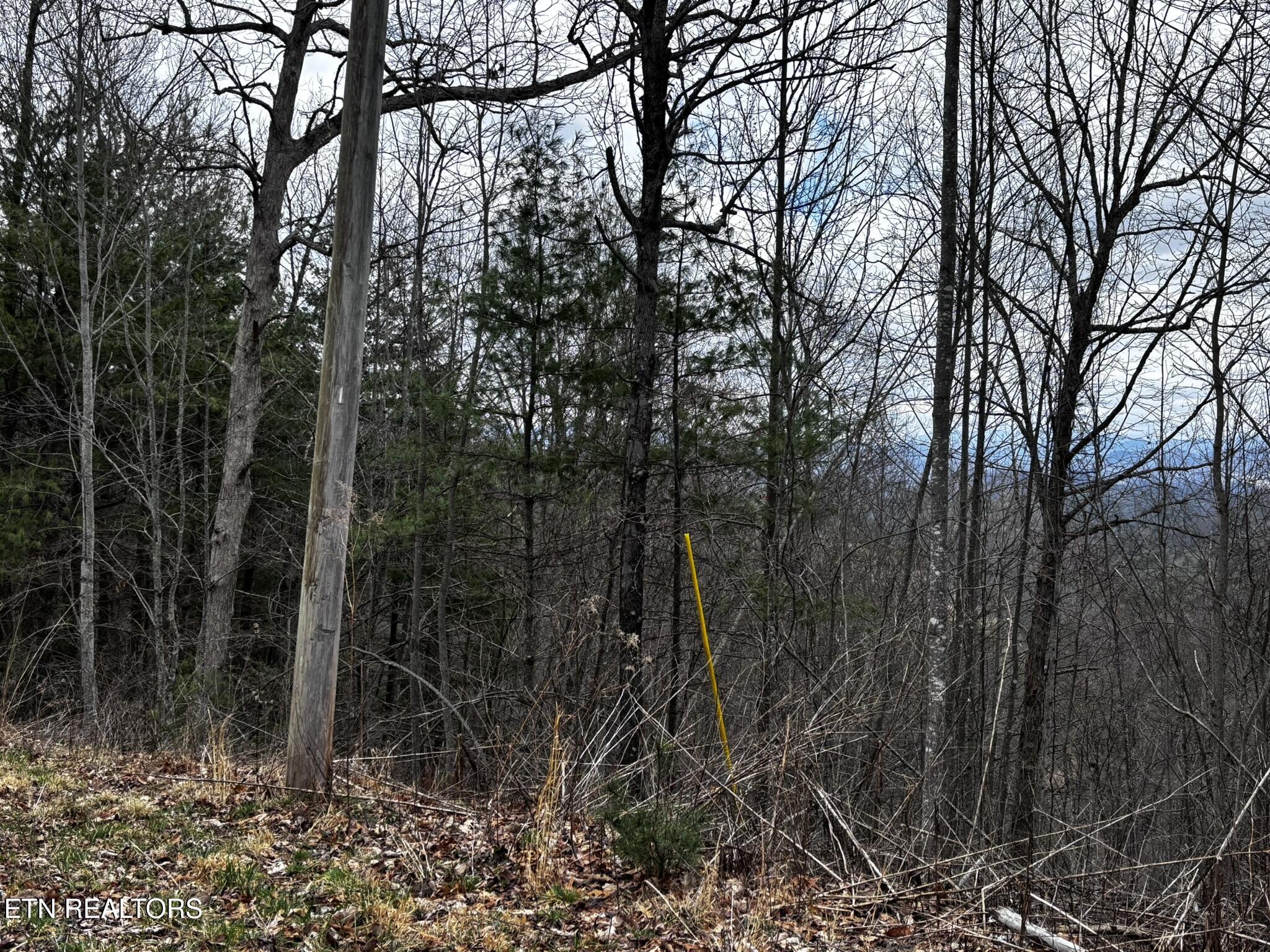 Lot 41 Black Maple Way Del Rio, TN 37727 - Photo 30 of 34 IMG_3010