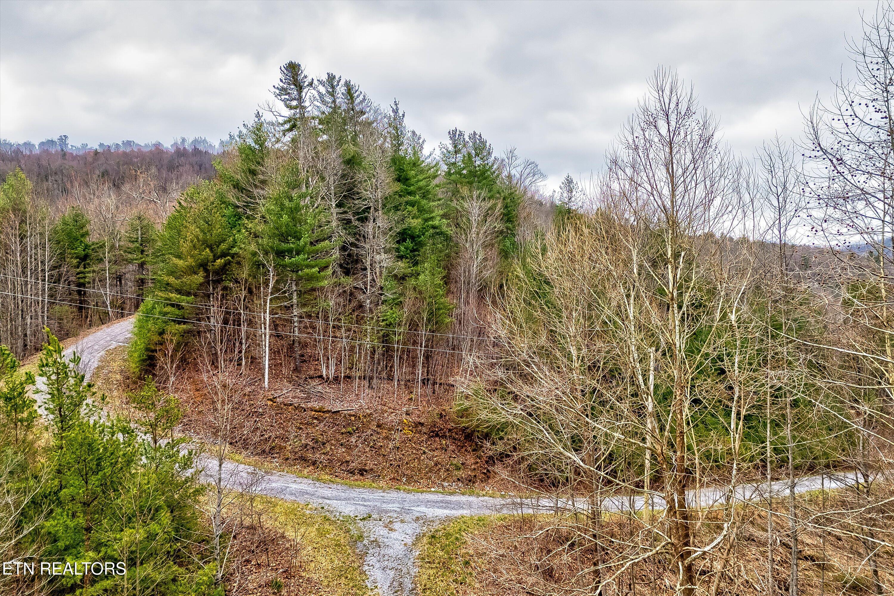 Lot 41 Black Maple Way Del Rio, TN 37727 - Photo 4 of 34 04-Black Maple Way Lot 41-4