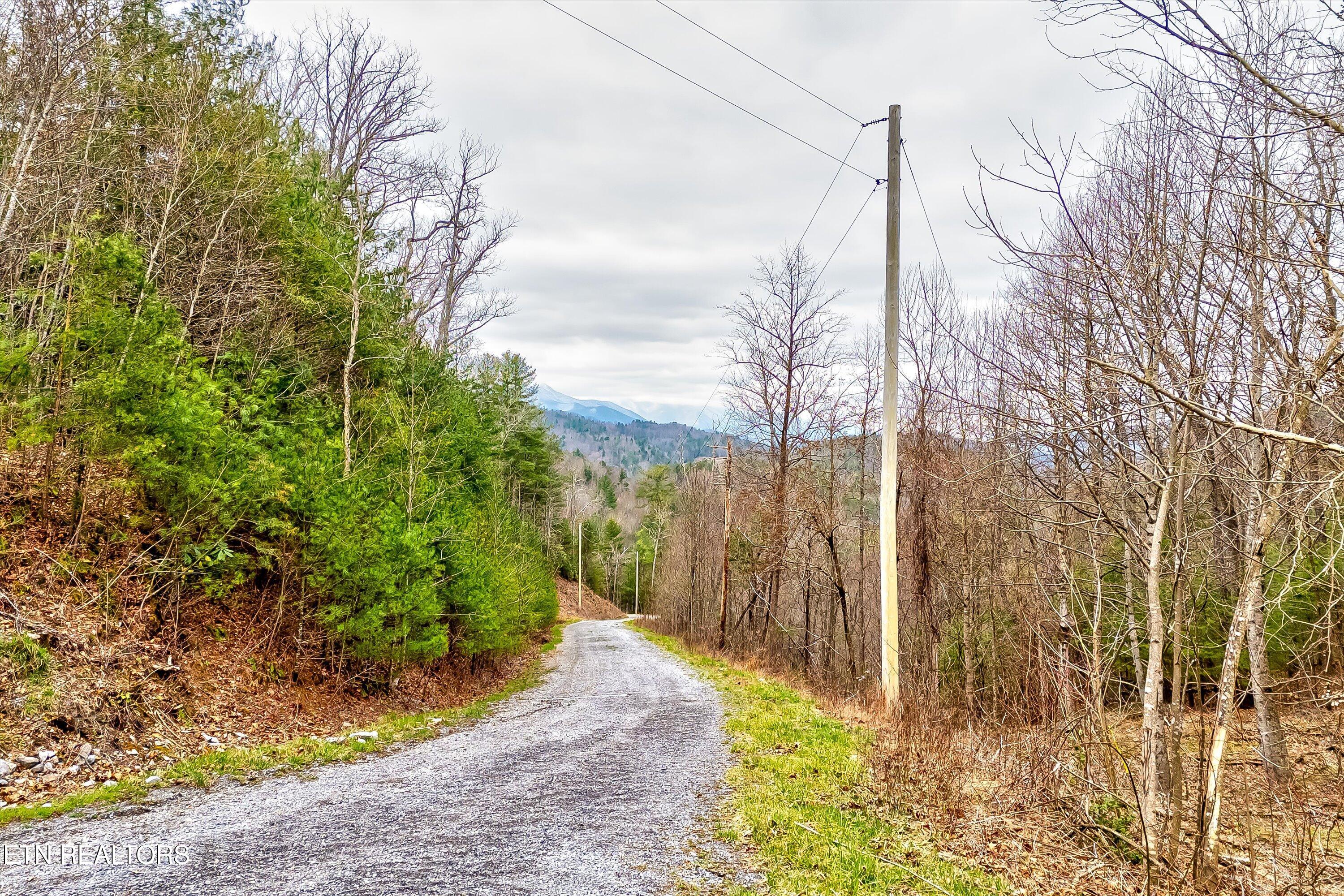 Lot 41 Black Maple Way Del Rio, TN 37727 - Photo 5 of 34 05-Black Maple Way Lot 41-5