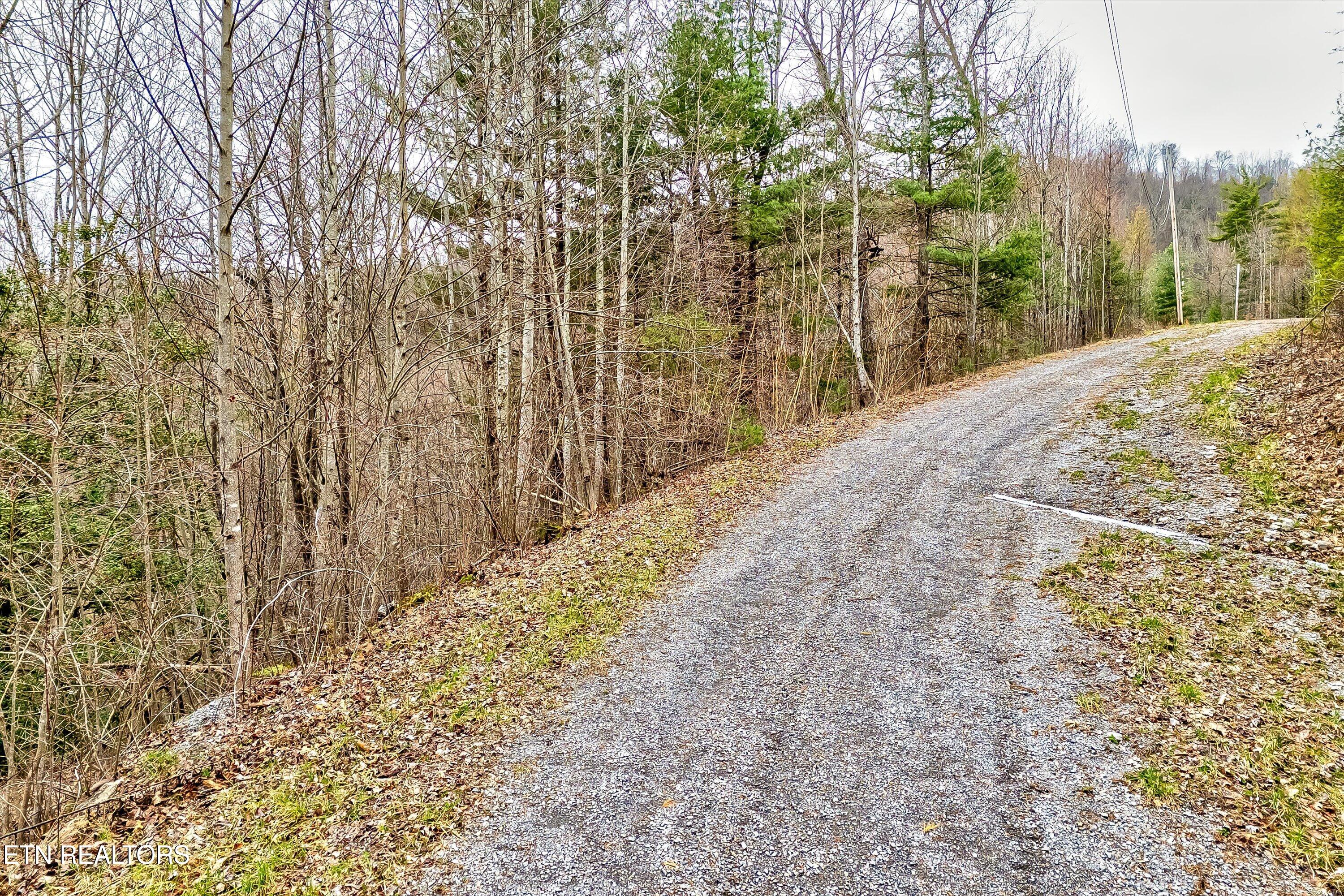 Lot 41 Black Maple Way Del Rio, TN 37727 - Photo 6 of 34 06-Black Maple Way Lot 41-6