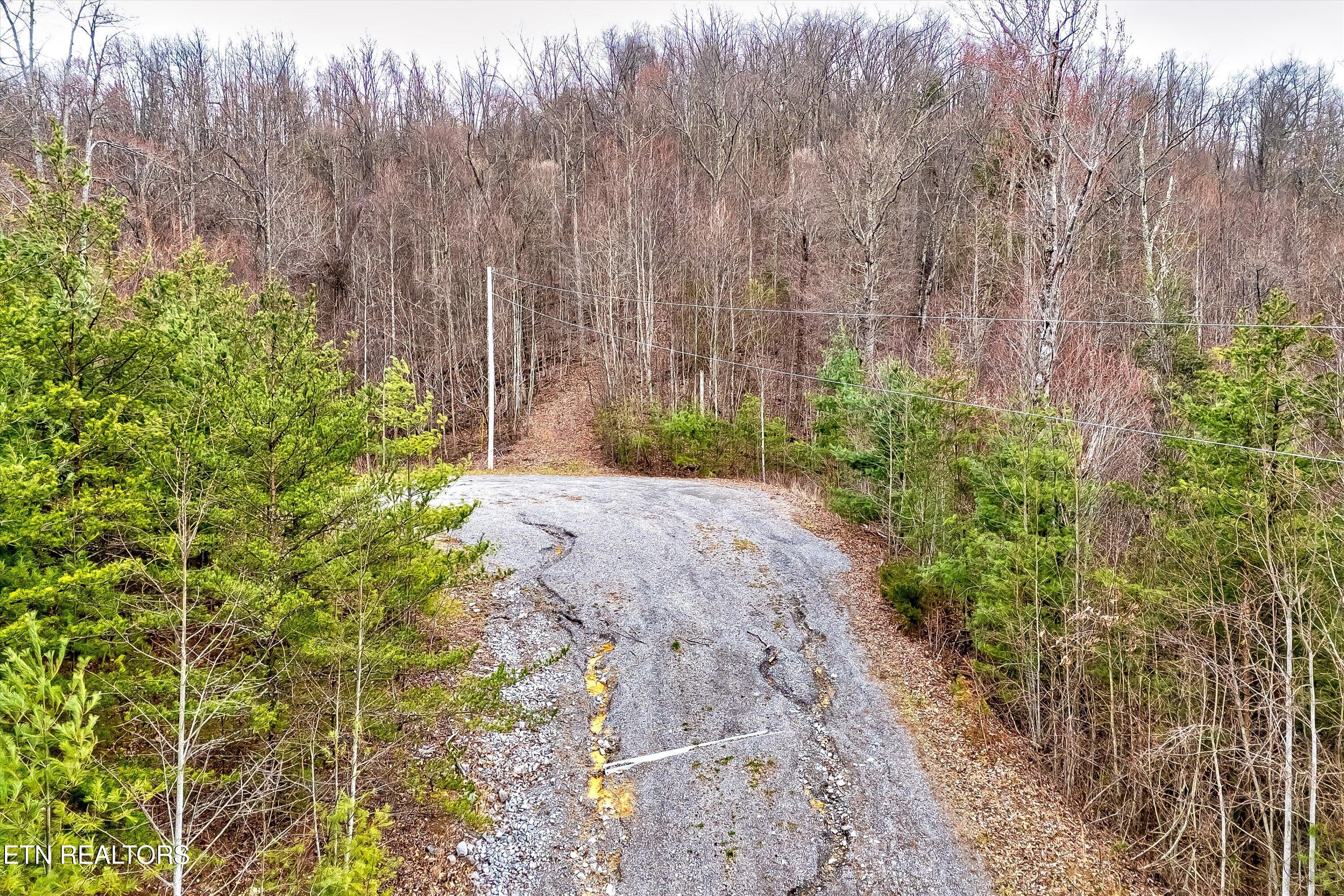 Lot 41 Black Maple Way Del Rio, TN 37727 - Photo 7 of 34 07-Black Maple Way Lot 41-7