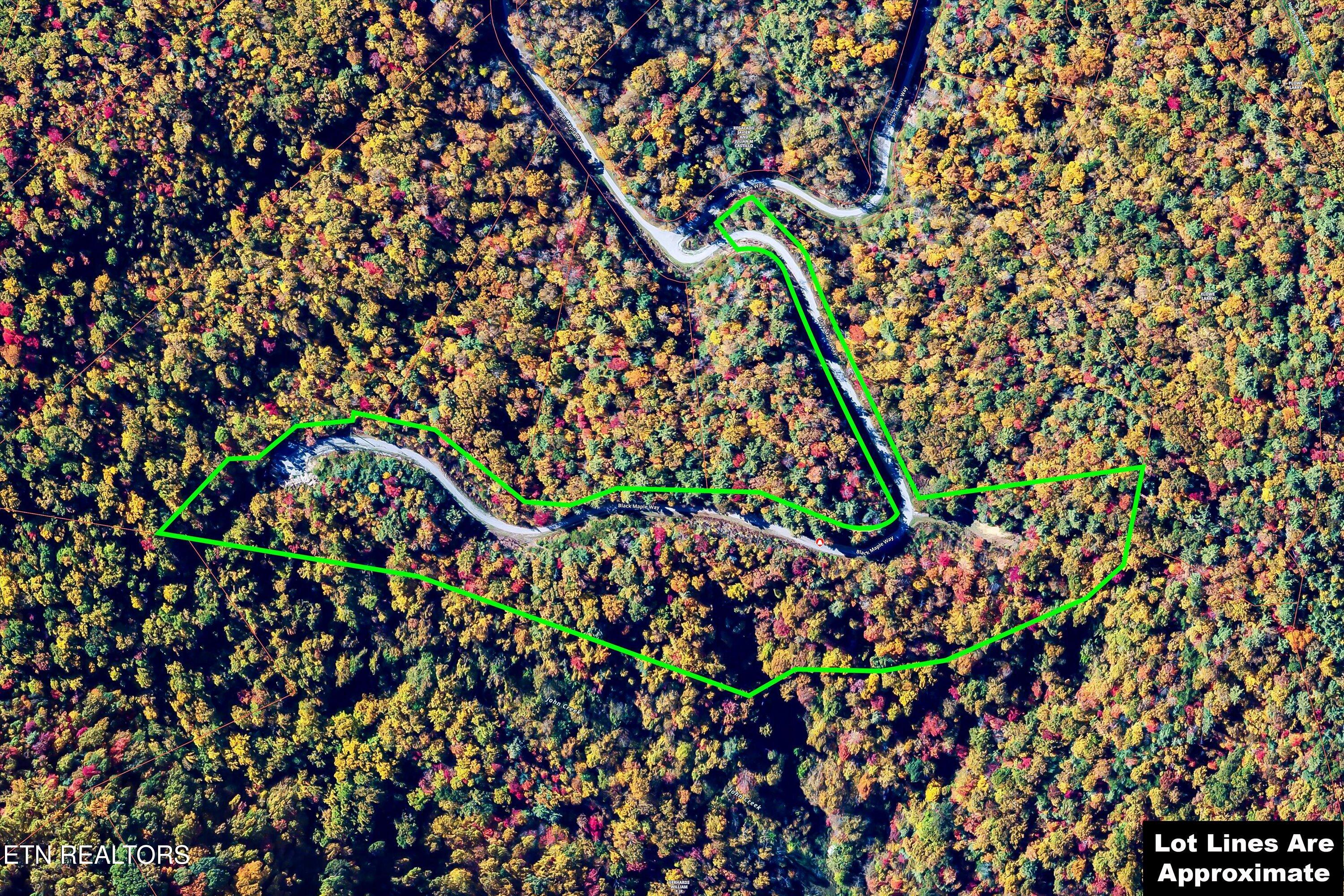 Lot 41 Black Maple Way Del Rio, TN 37727 - Photo 8 of 34 08-Black Maple Way Lot 41-8