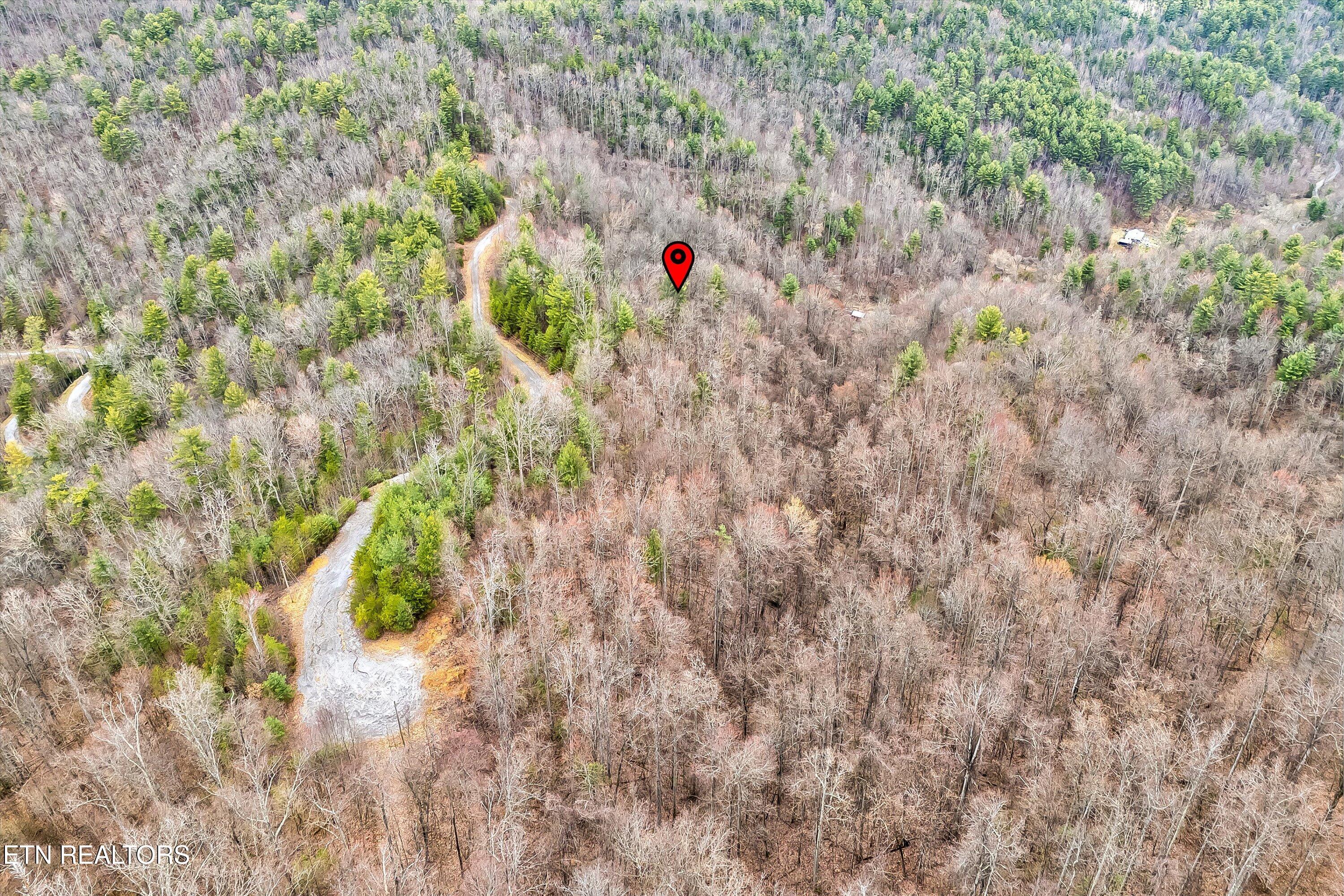 Lot 41 Black Maple Way Del Rio, TN 37727 - Photo 9 of 34 09-Black Maple Way Lot 41-9