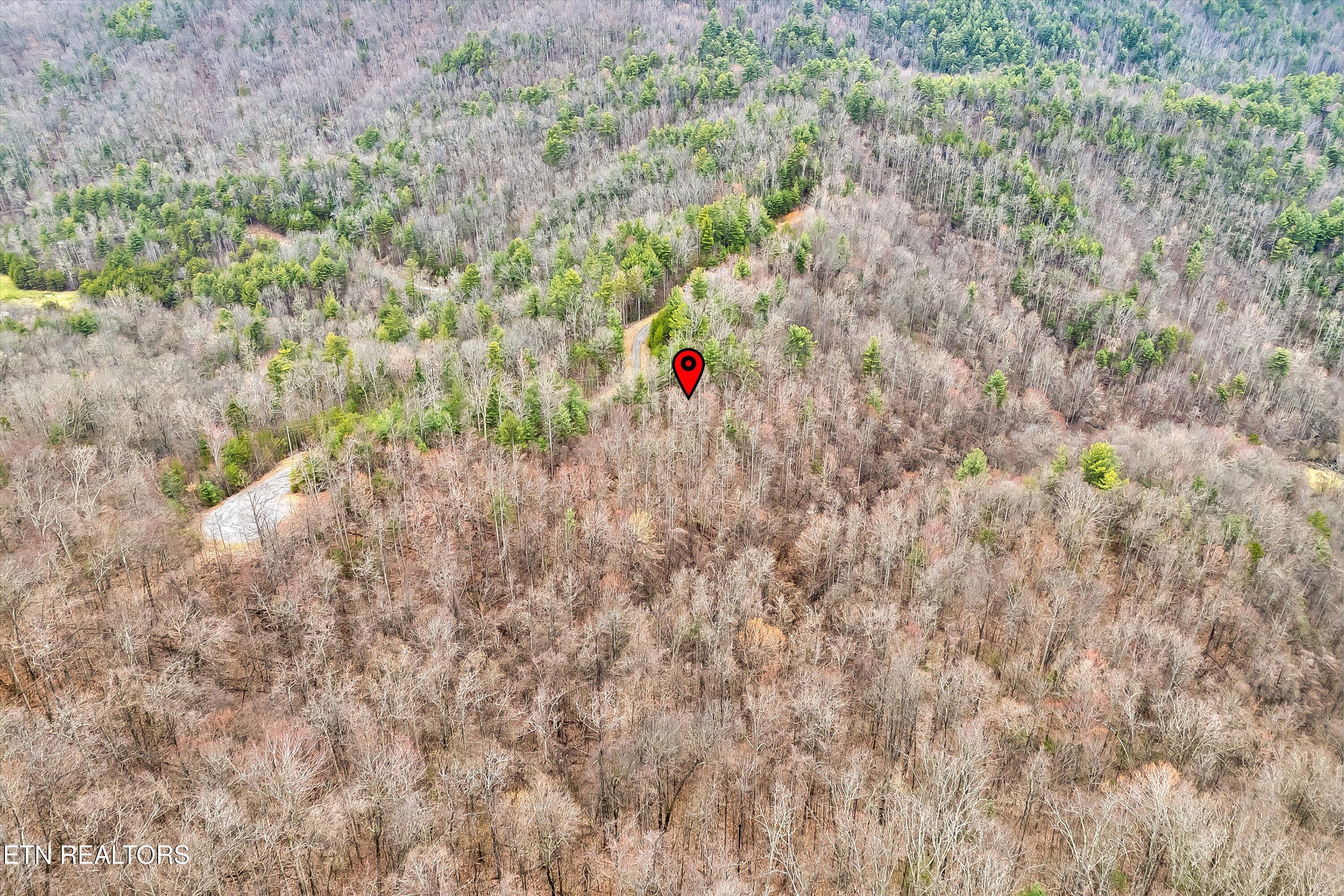 Lot 41 Black Maple Way Del Rio, TN 37727 - Photo 10 of 34 11-Black Maple Way Lot 41-11