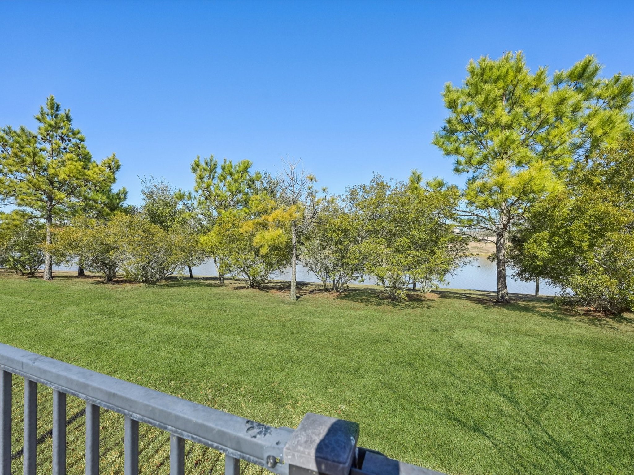 2505 Hatton Terrace Lane Pearland, TX 77089 - Photo 37 of 44 A closer look at the lake and trees.