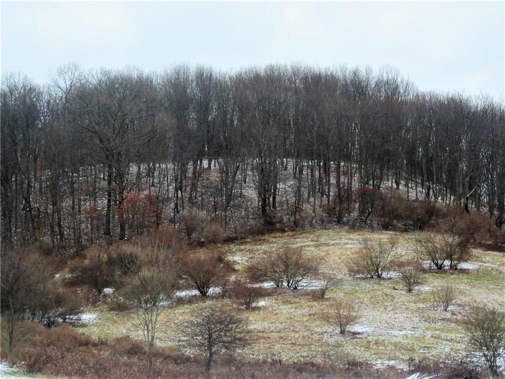 2657 Turkey Ridge Road Apollo, PA 15613 - Photo 23 of 23 Beautiful View From Deck!