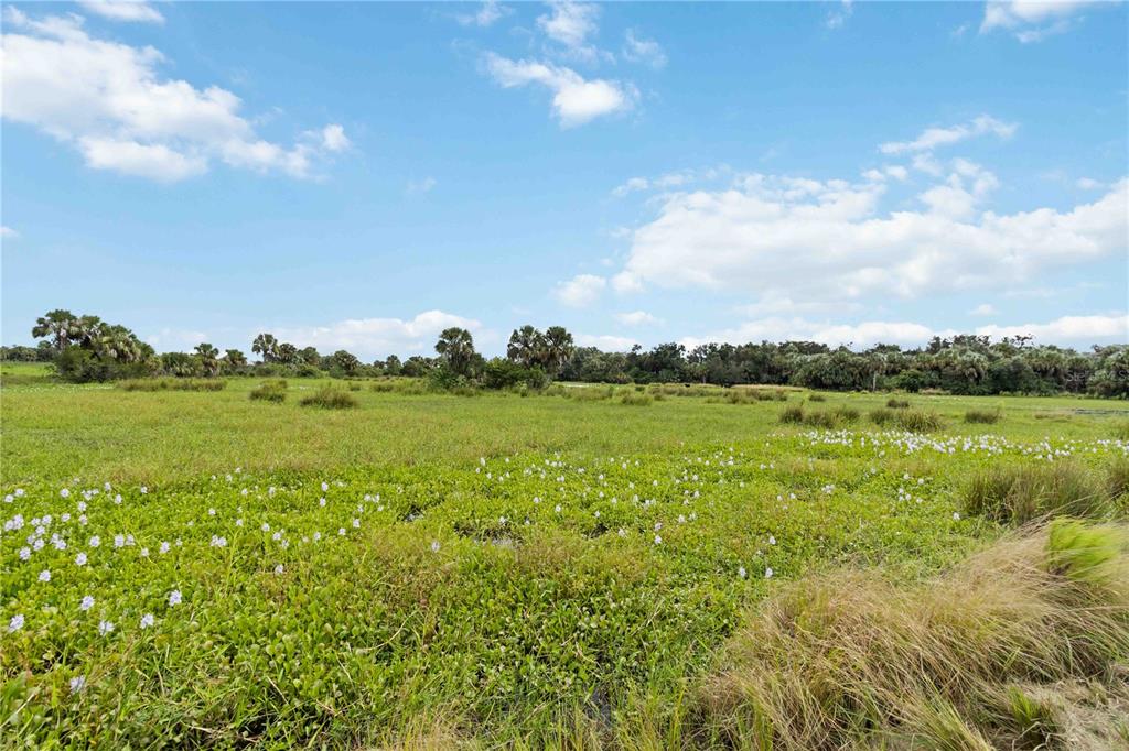 Southwest Gordon Hay Road Arcadia, FL 34269 - Photo 12 of 30 a view of a lake with a big yard