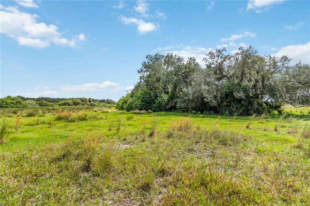 Southwest Gordon Hay Road Arcadia, FL 34269 - Photo 13 of 30 a view of outdoor space and yard