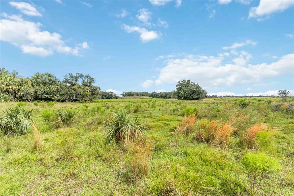 Southwest Gordon Hay Road Arcadia, FL 34269 - Photo 4 of 30 a view of a lake view