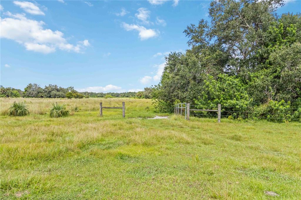 Southwest Gordon Hay Road Arcadia, FL 34269 - Photo 6 of 30 a view of an outdoor space and a yard