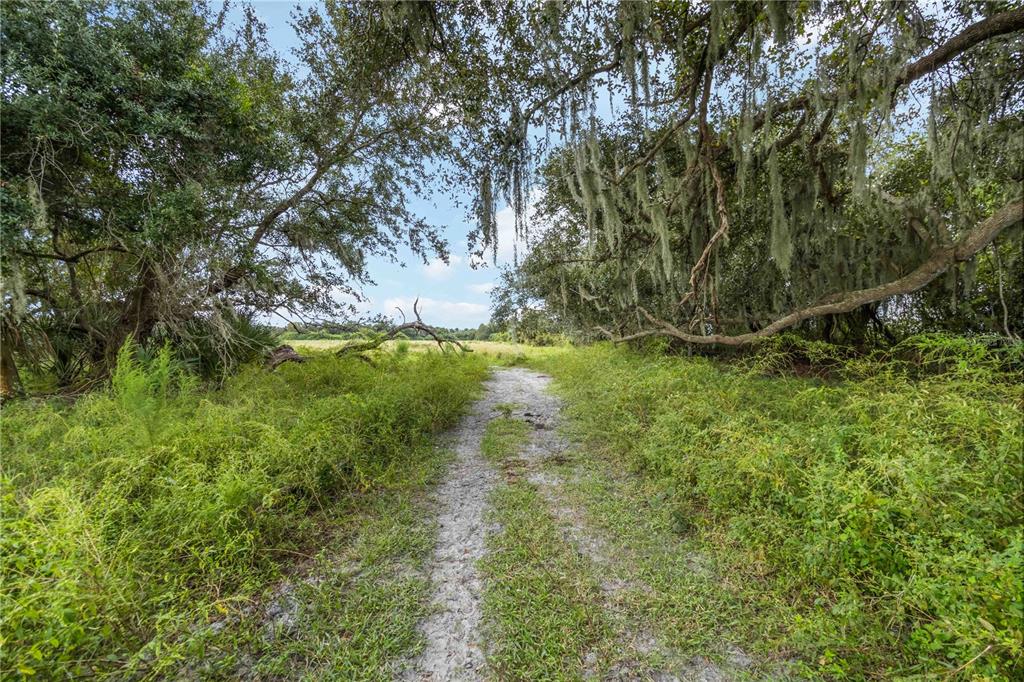 Southwest Gordon Hay Road Arcadia, FL 34269 - Photo 9 of 30 a backyard of a house with lots of green space