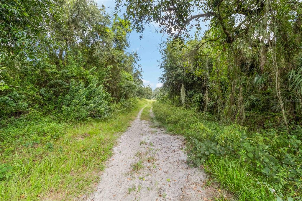 Southwest Gordon Hay Road Arcadia, FL 34269 - Photo 10 of 30 a view of a pathway both side of yard
