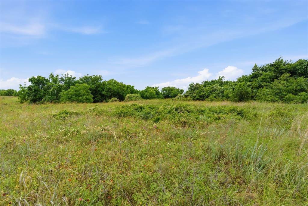 Tbd Lone Star Road Weatherford, TX 76088 - Photo 14 of 20