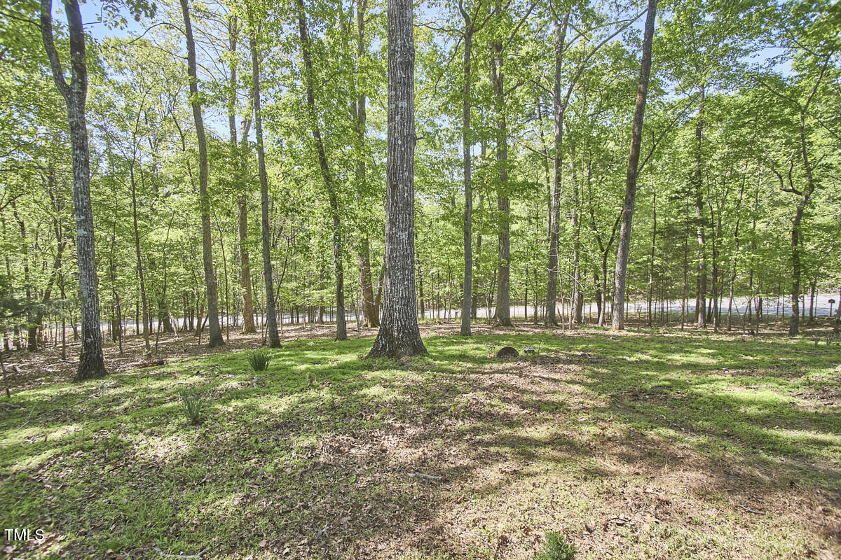 8407 Millers Bend Bahama, NC 27503 - Photo 74 of 77 a backyard of a house with lots of green space and trees