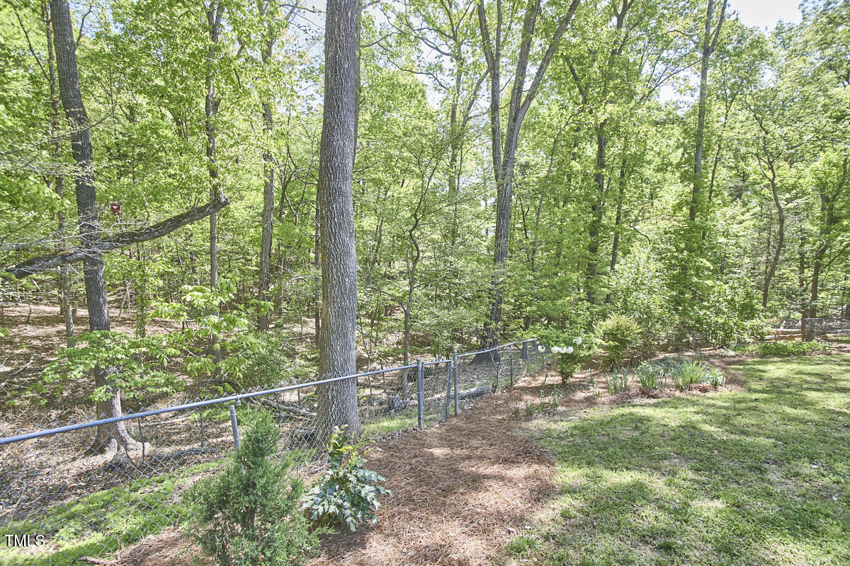 8407 Millers Bend Bahama, NC 27503 - Photo 76 of 77 a view of a forest with trees