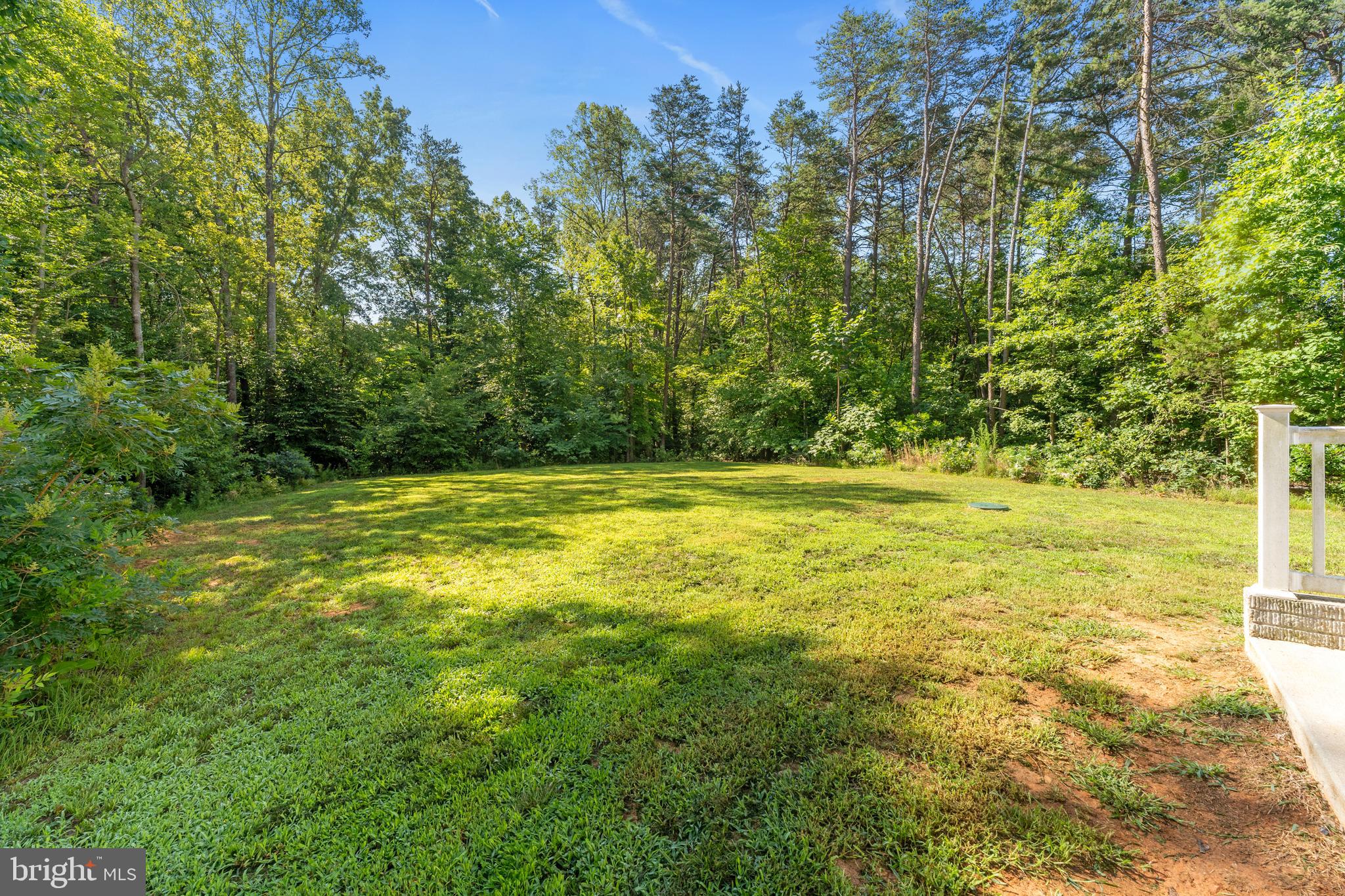 3731 Breaknock Road Bumpass, VA 23024 - Photo 41 of 48 Backyard