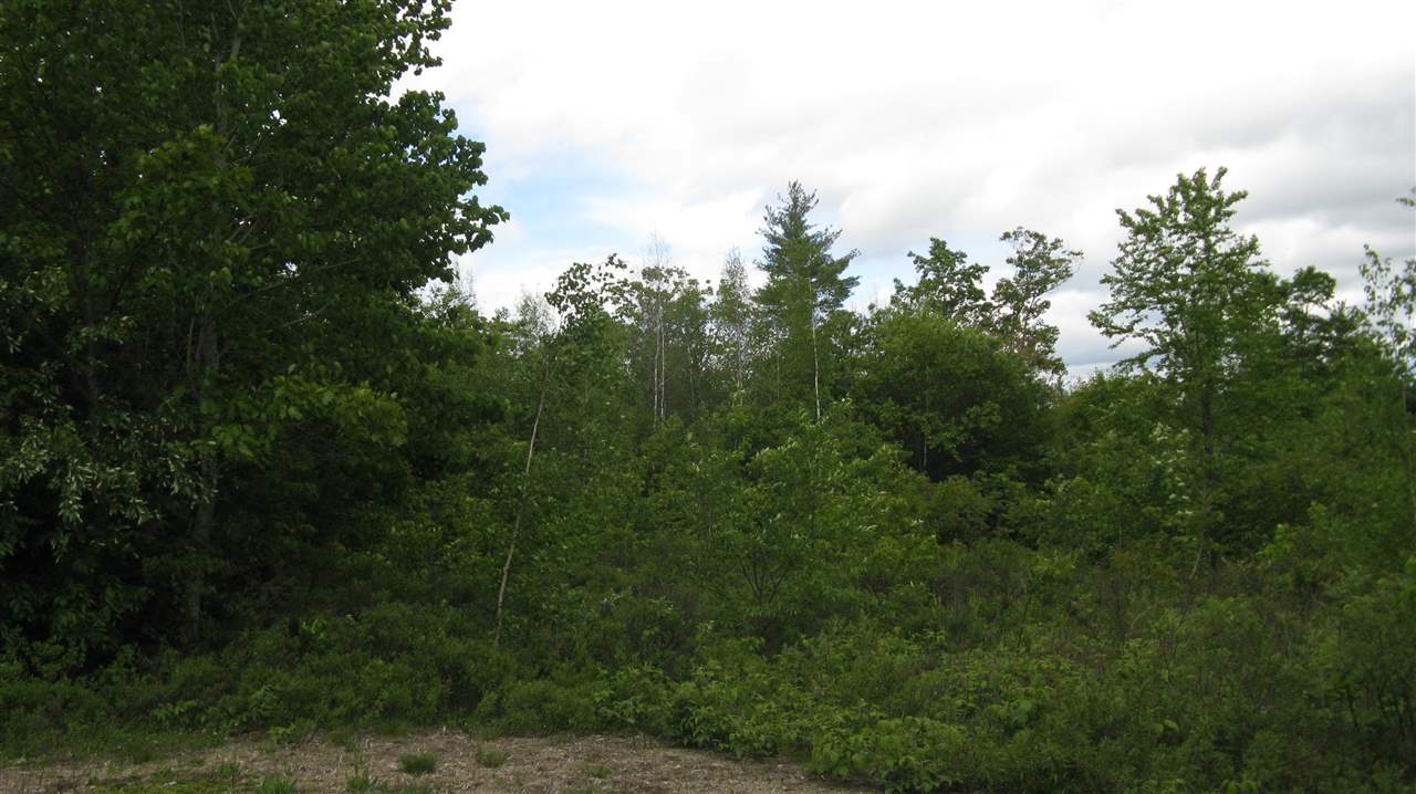 136 Powder Mill Road Alton, NH 03809 - Photo 12 of 14