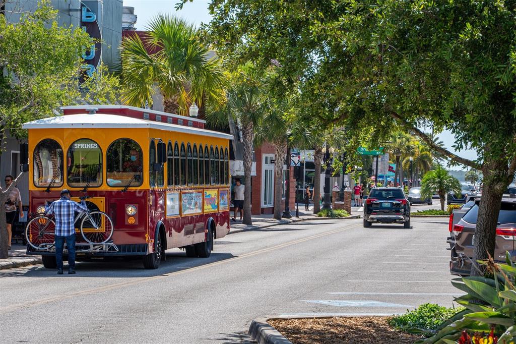 1701 Pinehurst Road, Unit 17G Dunedin, FL 34698 - Photo 27 of 30 a view of park with large trees