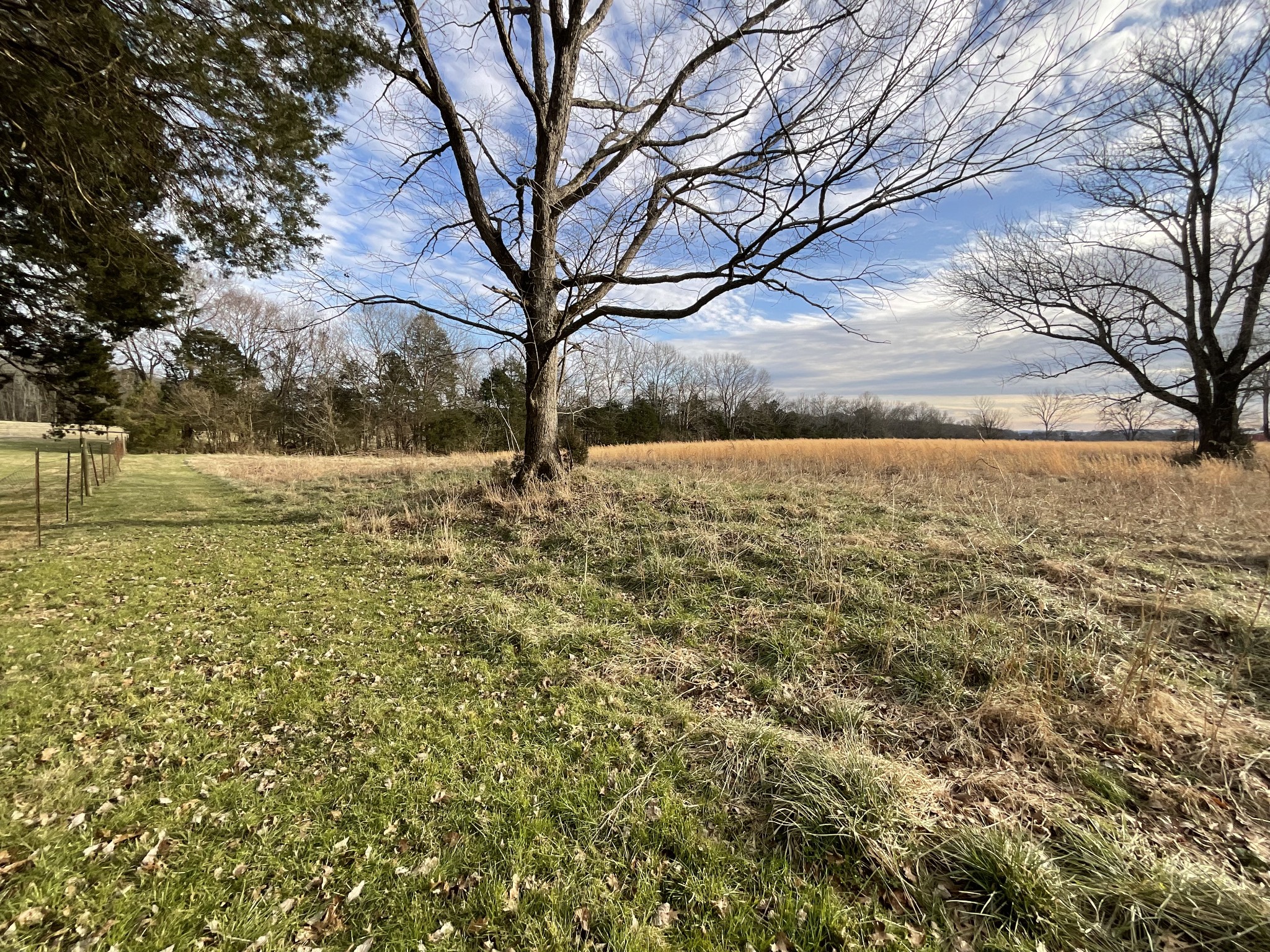 0 Hiwassee Road Lebanon, TN 37087 - Photo 1 of 7 a large yard with large trees