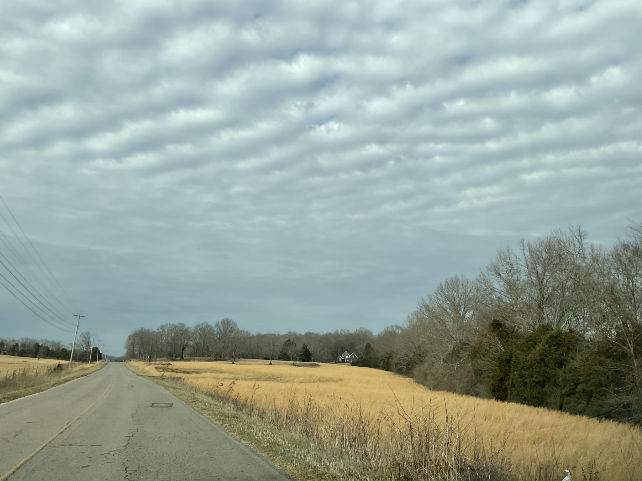 0 Hiwassee Road Lebanon, TN 37087 - Photo 5 of 7 a view of the field and trees