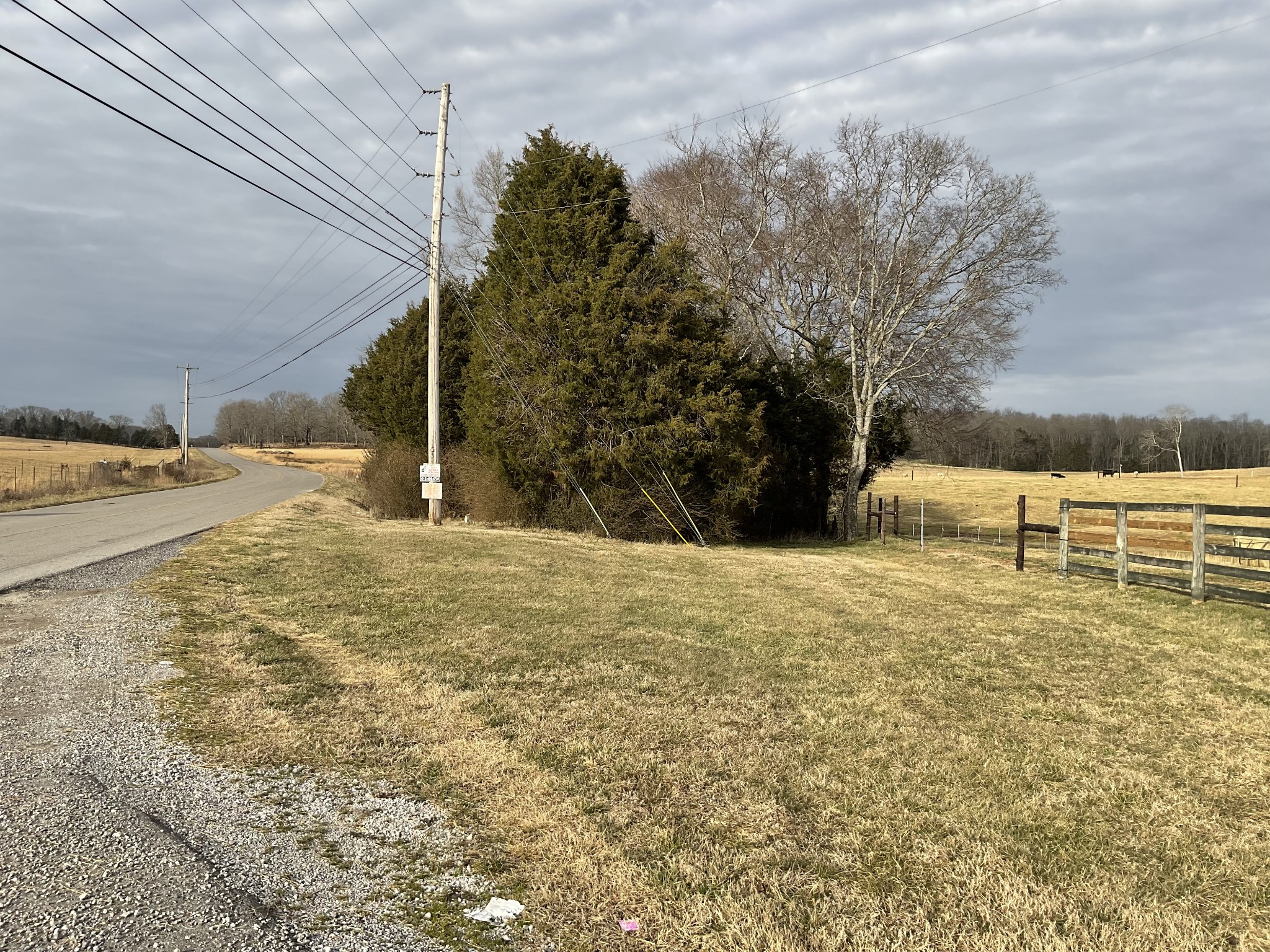 0 Hiwassee Road Lebanon, TN 37087 - Photo 7 of 7 a view of back yard of the house