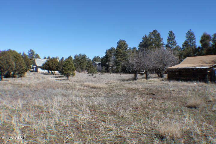 1066 Larson Road Lakeside, AZ 85929 - Photo 11 of 20