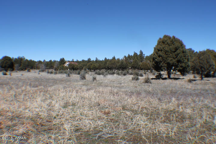 1066 Larson Road Lakeside, AZ 85929 - Photo 12 of 20