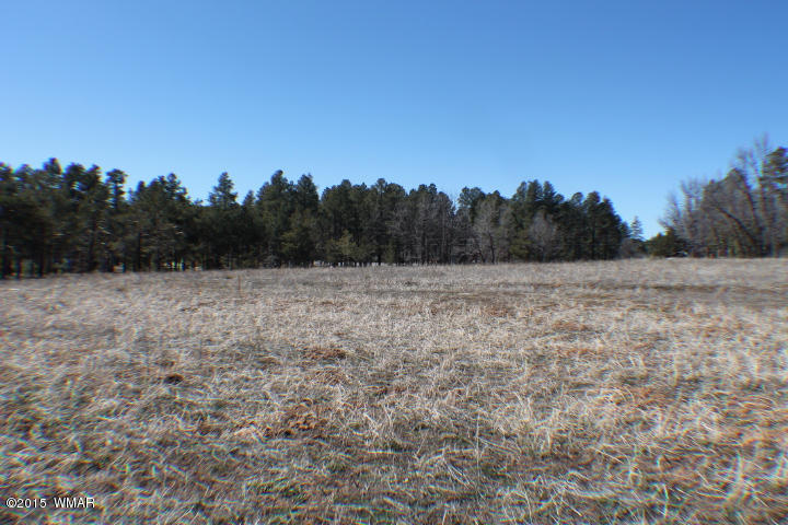 1066 Larson Road Lakeside, AZ 85929 - Photo 14 of 20