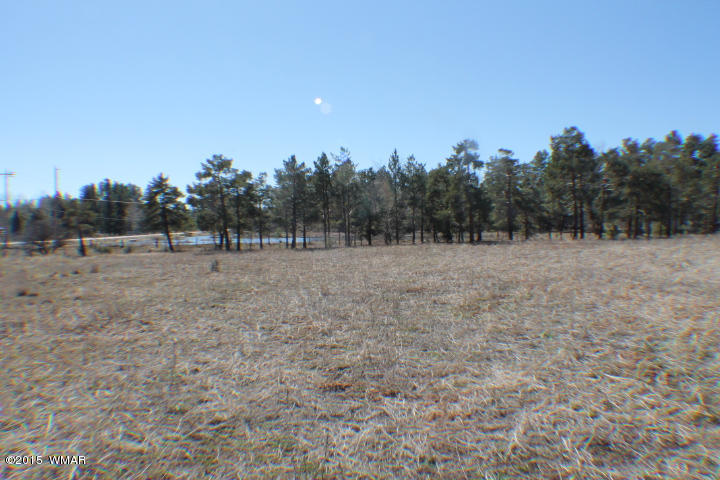 1066 Larson Road Lakeside, AZ 85929 - Photo 15 of 20