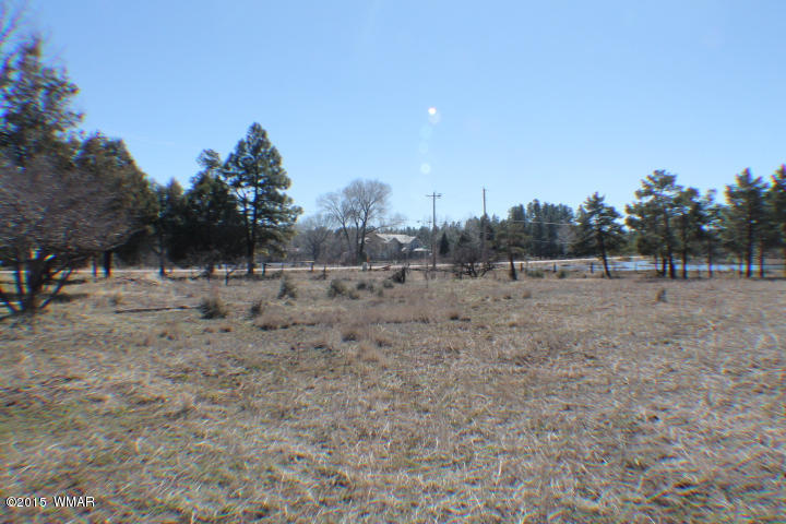 1066 Larson Road Lakeside, AZ 85929 - Photo 16 of 20