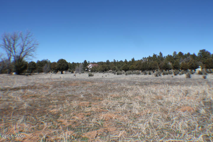 1066 Larson Road Lakeside, AZ 85929 - Photo 17 of 20