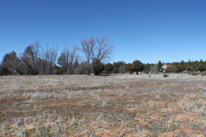 1066 Larson Road Lakeside, AZ 85929 - Photo 18 of 20