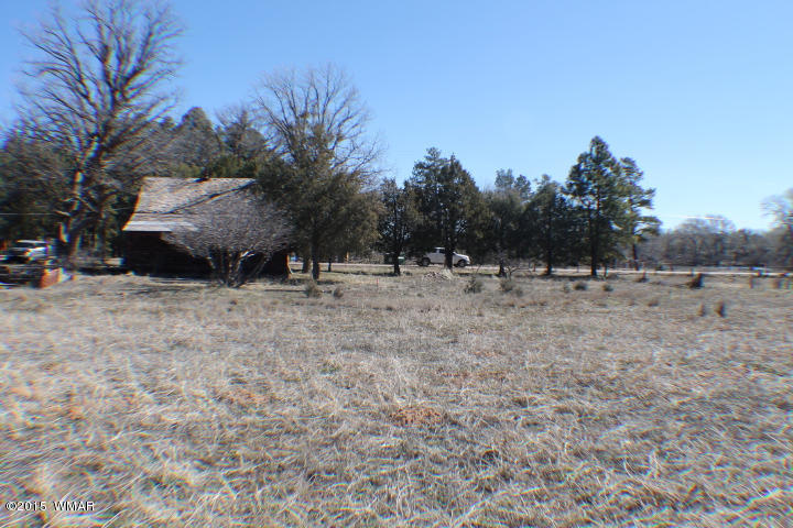 1066 Larson Road Lakeside, AZ 85929 - Photo 19 of 20