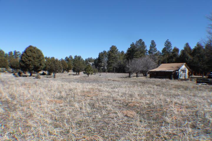 1066 Larson Road Lakeside, AZ 85929 - Photo 20 of 20