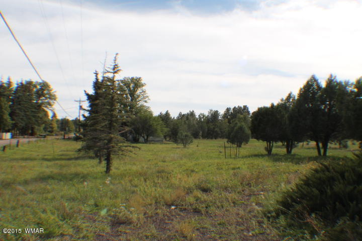 1066 Larson Road Lakeside, AZ 85929 - Photo 2 of 20