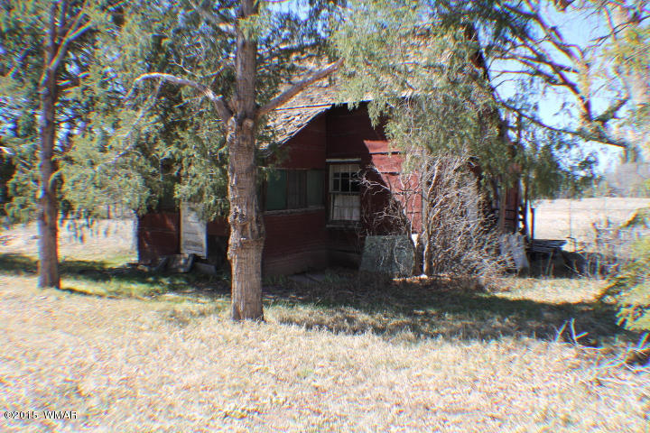 1066 Larson Road Lakeside, AZ 85929 - Photo 3 of 20