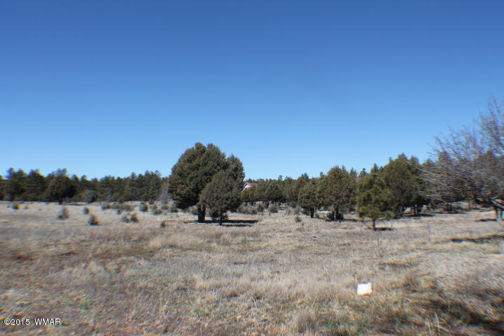 1066 Larson Road Lakeside, AZ 85929 - Photo 4 of 20